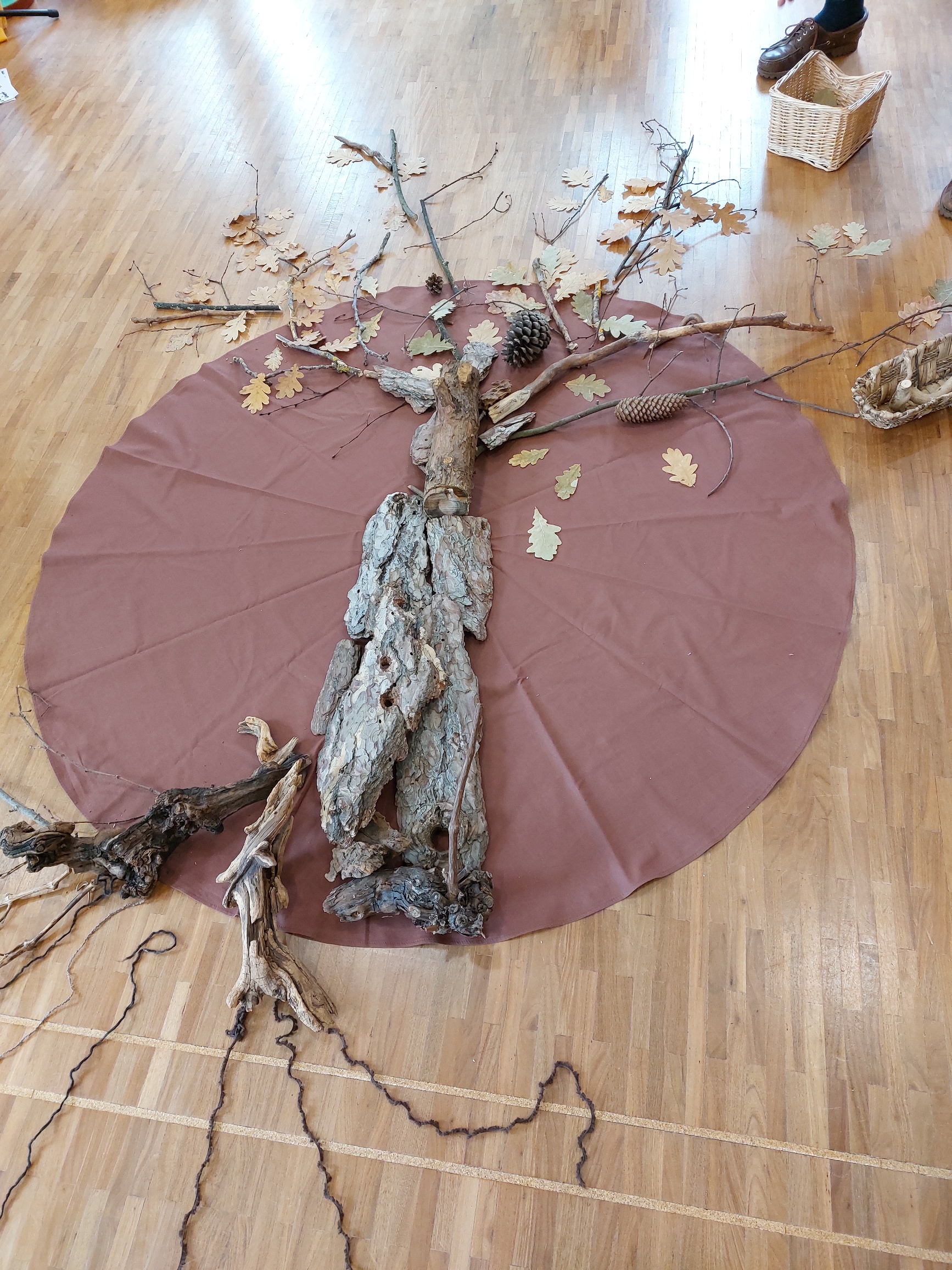 251025 Anschauung_Der_Tod_der_alten_Eiche 251025 Anschauung